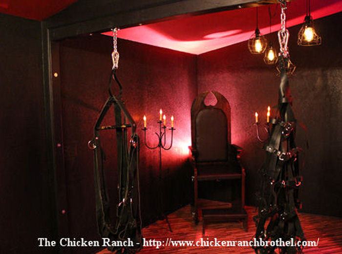 BDSM erotic Fifty shades of grey 50 shades of grey bdsm dungeon furniture. 