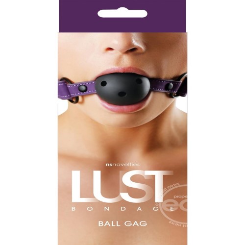 fetish gag, kinky ball gag