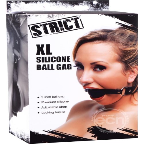 bdsm gag, bondage ballgag